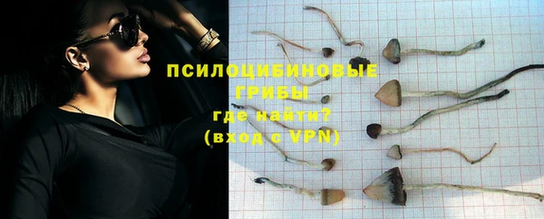 твердый Медногорск