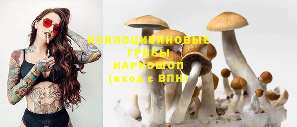 бутират Мегион