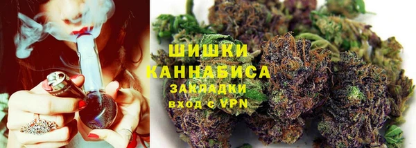 твердый Медногорск