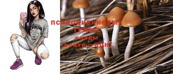 бутират Мегион