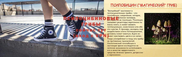 твердый Медногорск