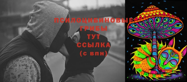 скорость Медвежьегорск