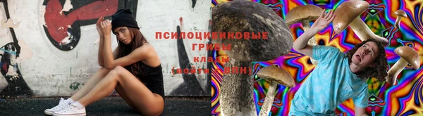 твердый Медногорск