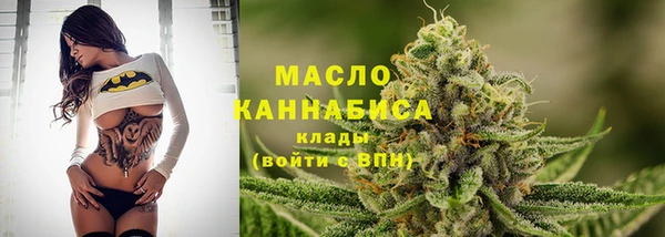 твердый Медногорск
